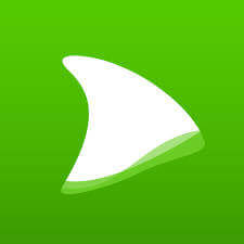 Dolphin Video